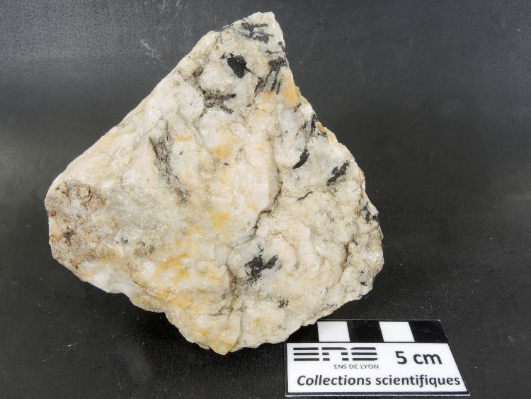 Quartz et wolframite Filon de quartz à wolframite Massif central  Vaulry La Garde
